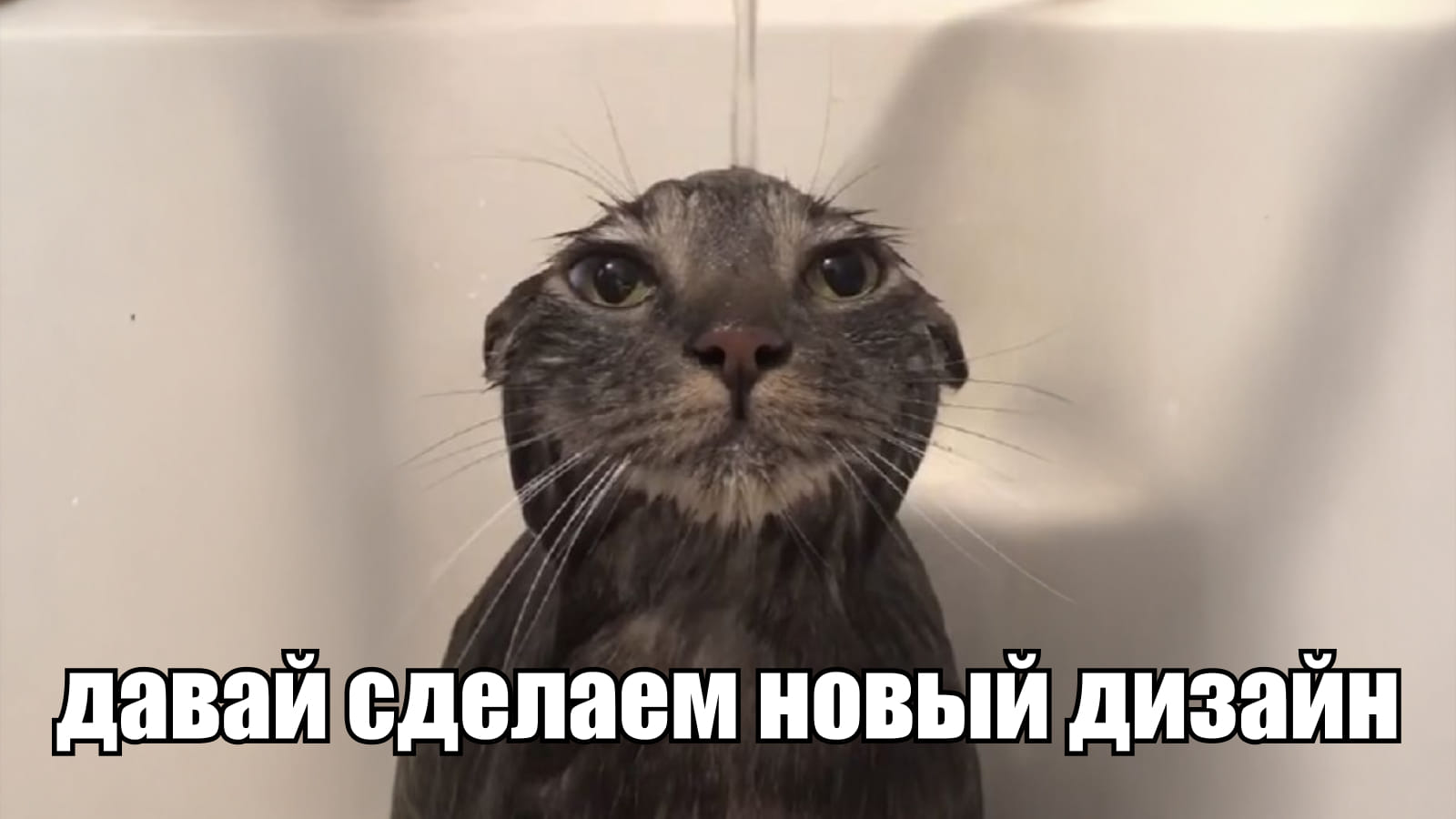 Давай сделаем новый дизайн: мем после презентации единственной концепции