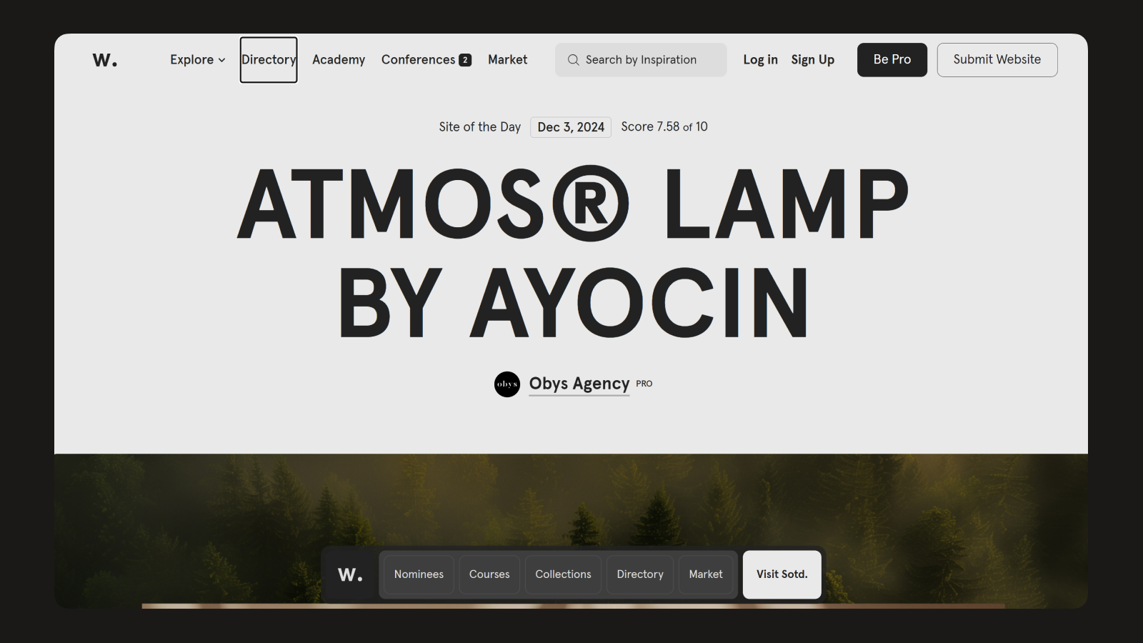 Фокусное состояние на сайте Awwwards