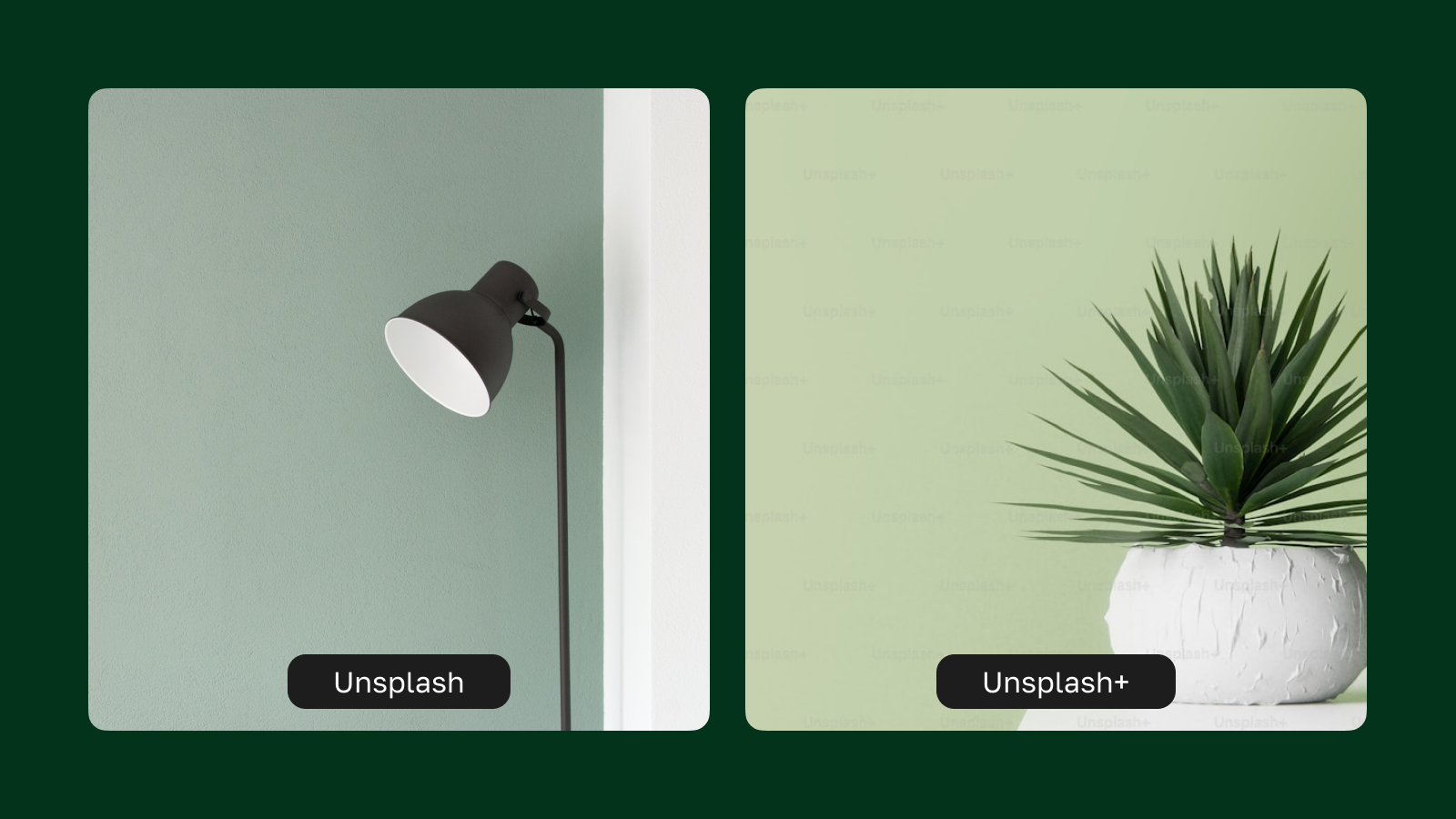 Разница фото между Usplash и Usplash+