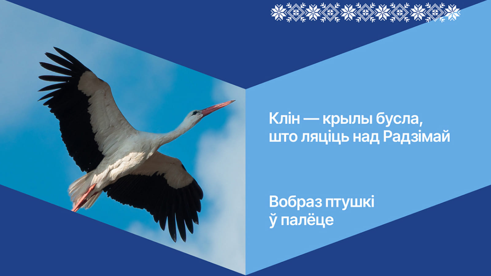 Крылья аиста - основной образ нового брендинга РМК