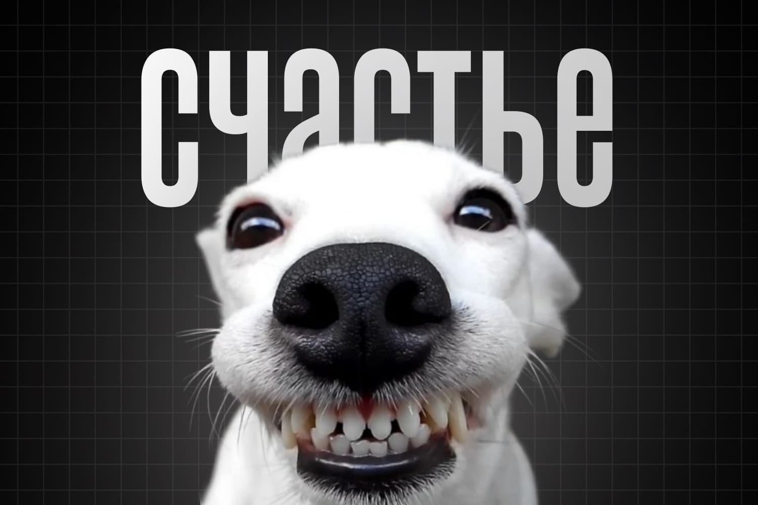preview-design-happiness Как дизайн делает тебя счастливее?