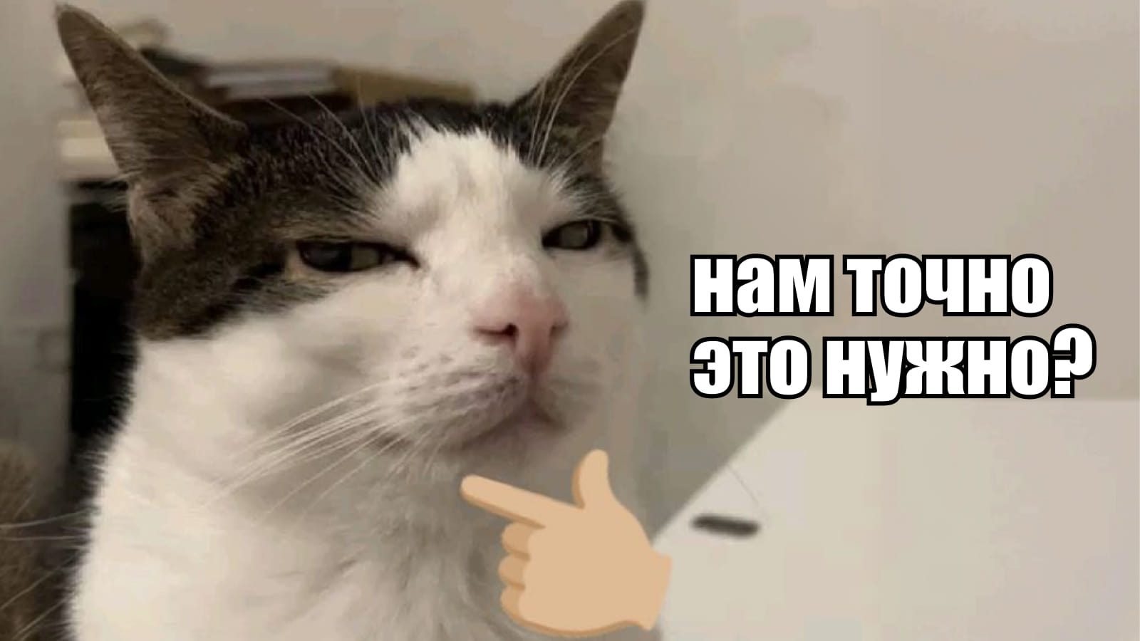 Мем с котом: нам точно это нужно?